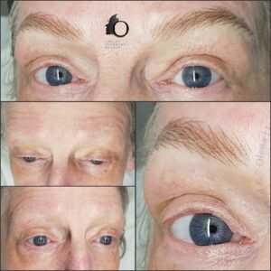 Hair Strokes Permanent Makeup Eyebrows with shadow