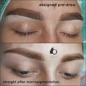 Ombre Powder Permanent Makeup Brows Soft