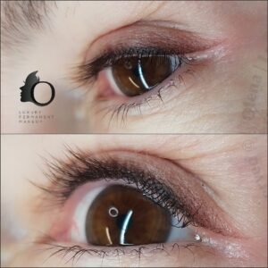 Permanent Makeup Eyeliner (2)