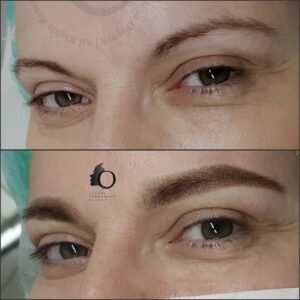 Powder Permanent Makeup Brows