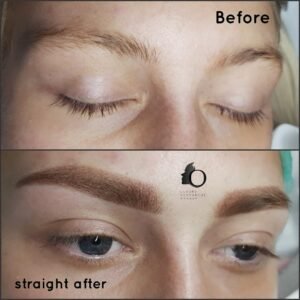 ombre dusty permanent brows