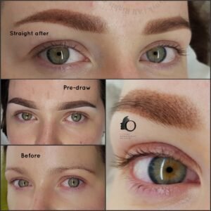 ombre dusty permanent brows